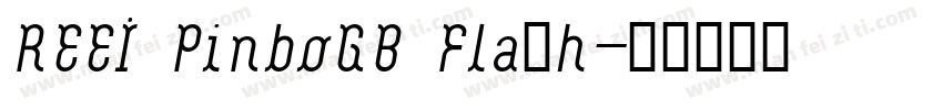 REEI PinboGB Flash字体转换